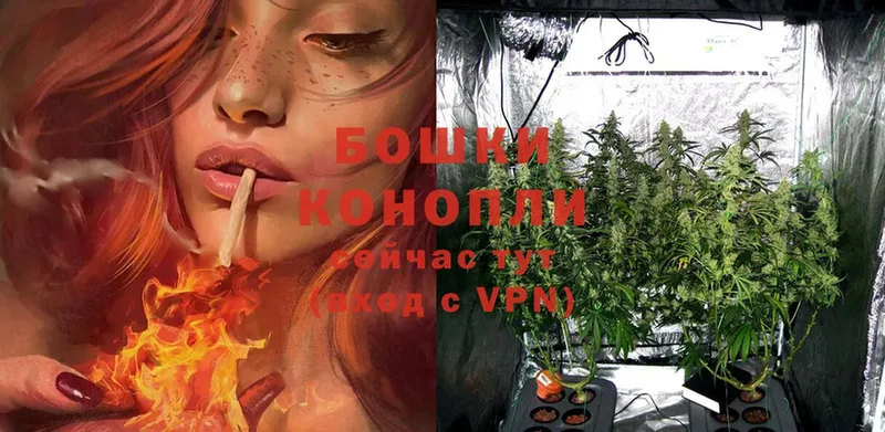 ссылка на мегу tor  Серов  Каннабис OG Kush 